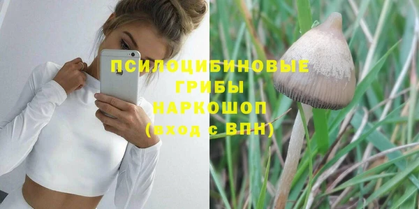 экстази Арсеньев