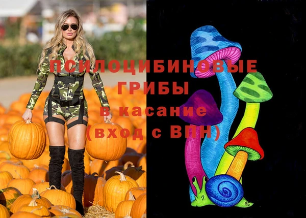 экстази Арсеньев