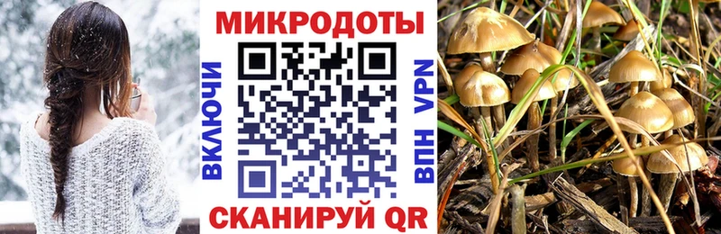 Галлюциногенные грибы мицелий  даркнет формула  Маркс  ссылка на мегу зеркало 